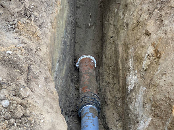 Best Basement water damage restoration  in Malmstrom Af, MT