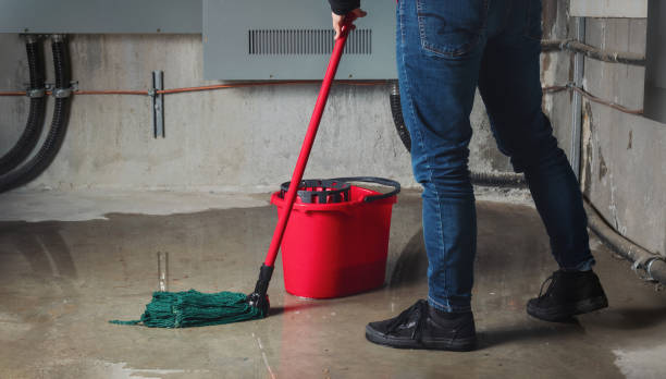 Best Water damage restoration near me  in Malmstrom Af, MT