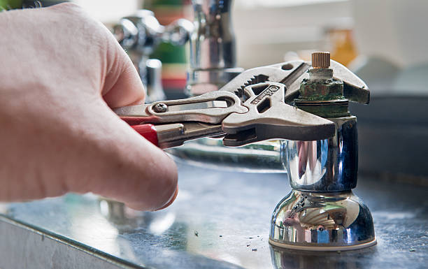 Best Mold removal after water damage  in Malmstrom Af, MT