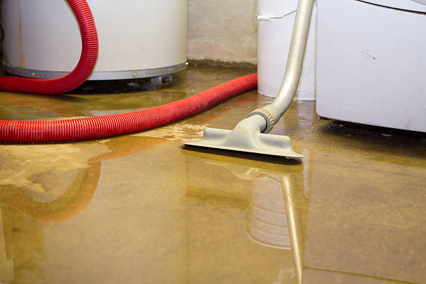 Best Flooded house restoration  in Malmstrom Af, MT