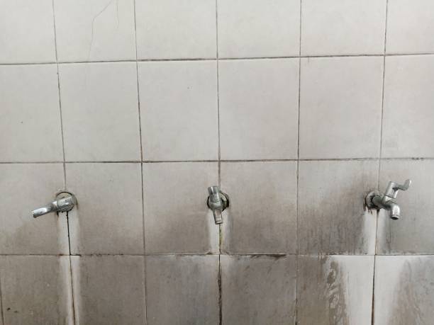 Best Water damage restoration near me  in Malmstrom Af, MT