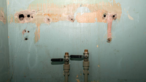 Malmstrom Af, MT Water damage restoration Company