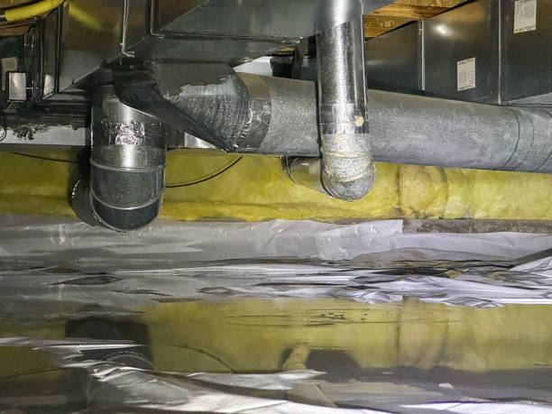 Best Water damage contractors near me  in Malmstrom Af, MT