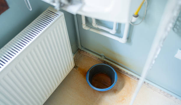 Best Water damage restoration process  in Malmstrom Af, MT